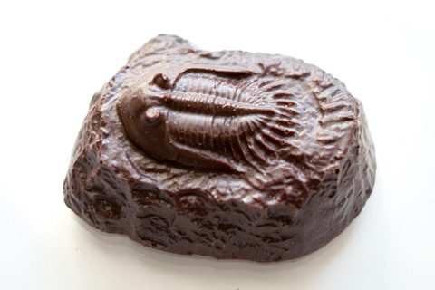 ジオボックス；化石チョコレート